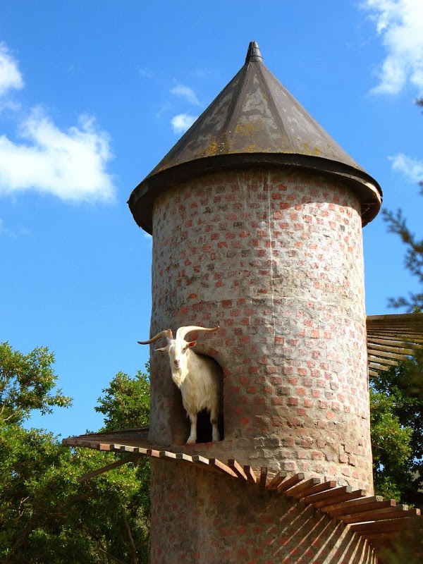 goat-tower-33