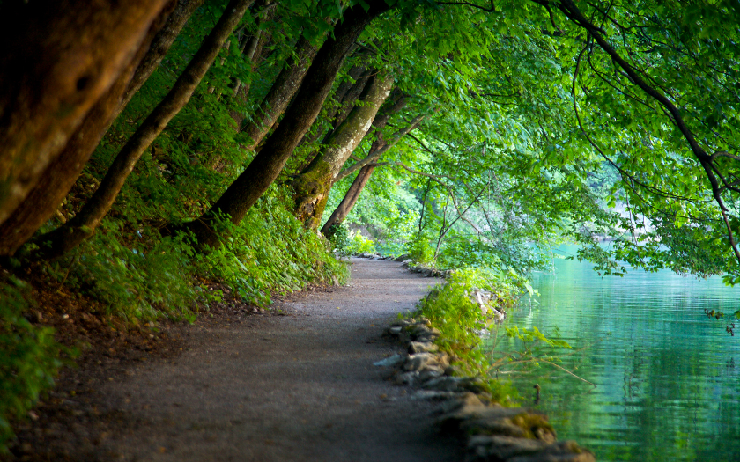 new_plitvice_lakes_national_park_picture