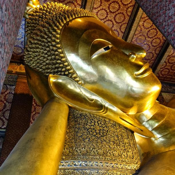 バンコクのワットポーは「子猫と絶品グルメ」がある最高の寺院だった！