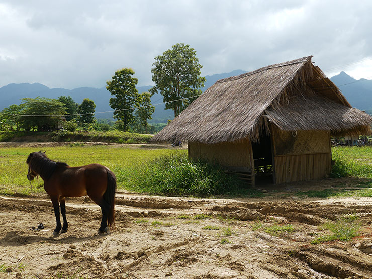 タイで一番何もないパーイ村が「最高に素晴らしい」と絶賛される理由