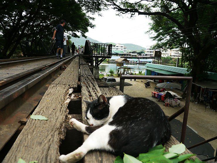 バンコクから2時間で行けるクウェー川鉄橋 / 旧日本軍が強制労働者を使い建設した泰緬鉄道