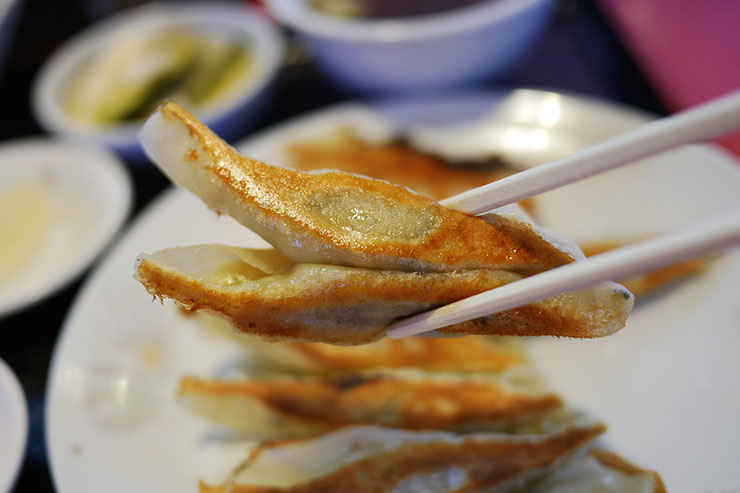 密かに餃子が美味しい地域で「いちばん美味しい餃子」を食べる / 石川県小松市の珍龍