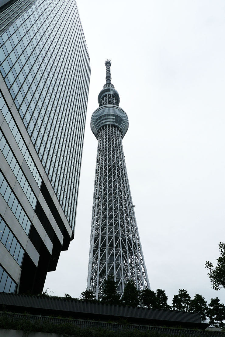 kikuya20