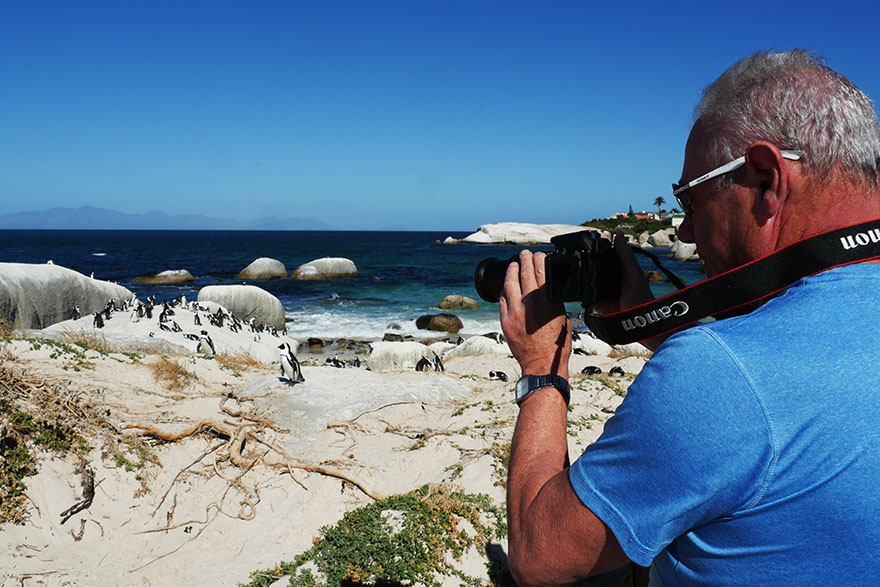 cape-town-boulders-beach08