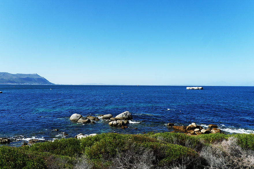 cape-town-boulders-beach15