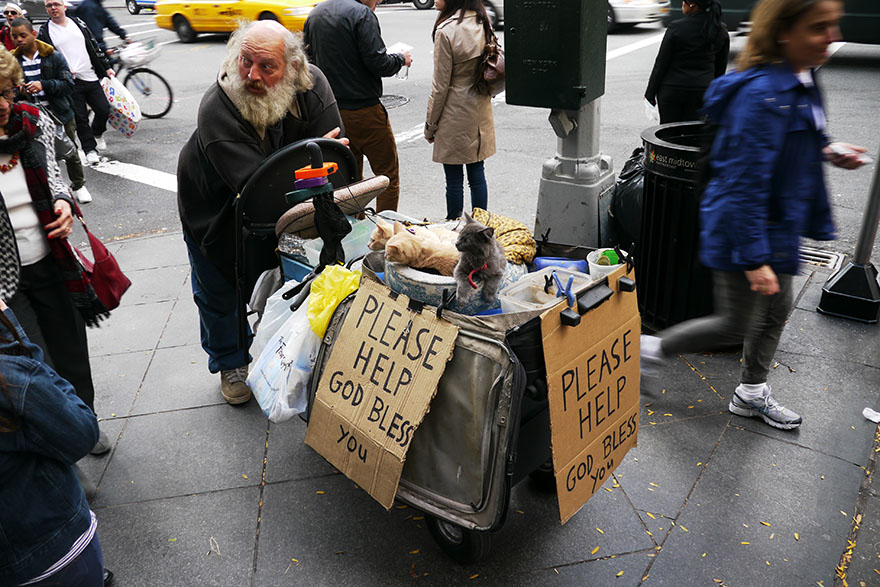 ニューヨーク・マンハッタンで犬や猫を引き連れて歩いている人 / お金を渡す？ 渡さない？