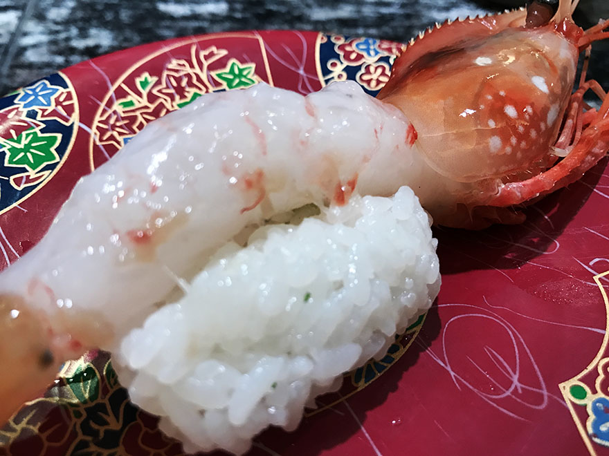 【最強回転寿司めぐり】回転寿司「根室花まる」のぼたん海老とタラバ蟹のふんどし / 初めての魅惑的食感ここにあり
