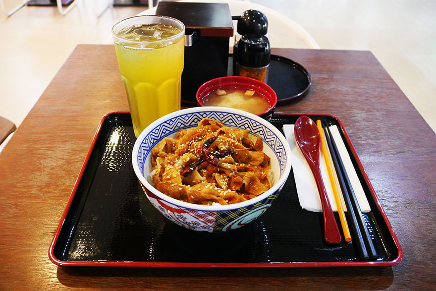 gyudon5