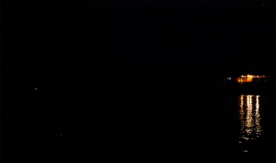 【生きてる絶景】マレーシア「極上の蛍の光」を見に行こう / コタキナバルからすぐ行ける神秘の絶景