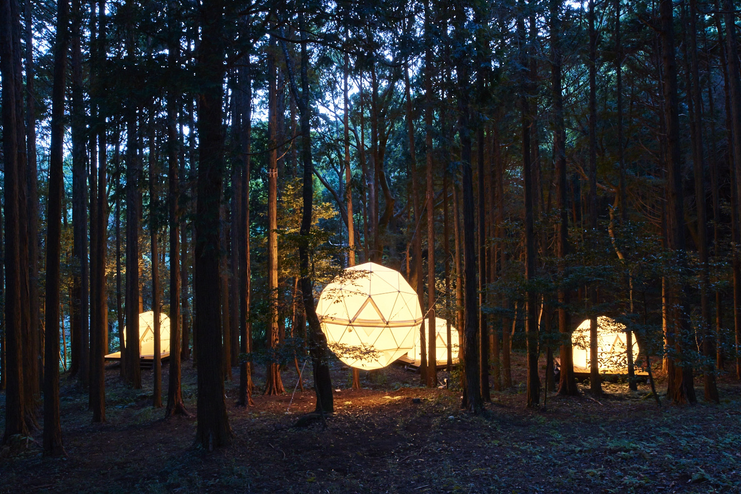 【革命】日本初の泊まれる公園「INN THE PARK」がオープン！ 森に浮かぶ球体テントが幻想的