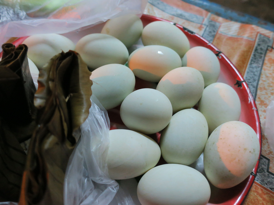 ラオスで食べる衝撃的なゆで卵ホビロンが凄すぎる！ 実際に食べてみた結果
