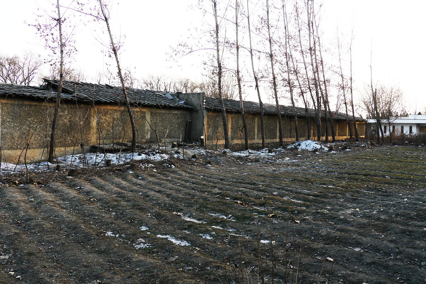 kita-sanpo6