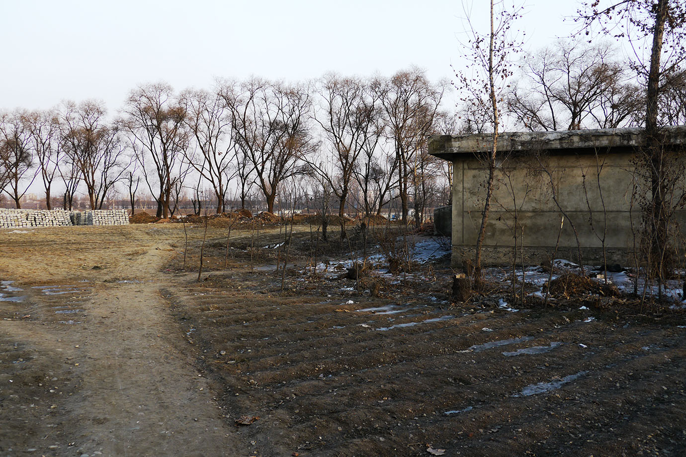 kita-sanpo8