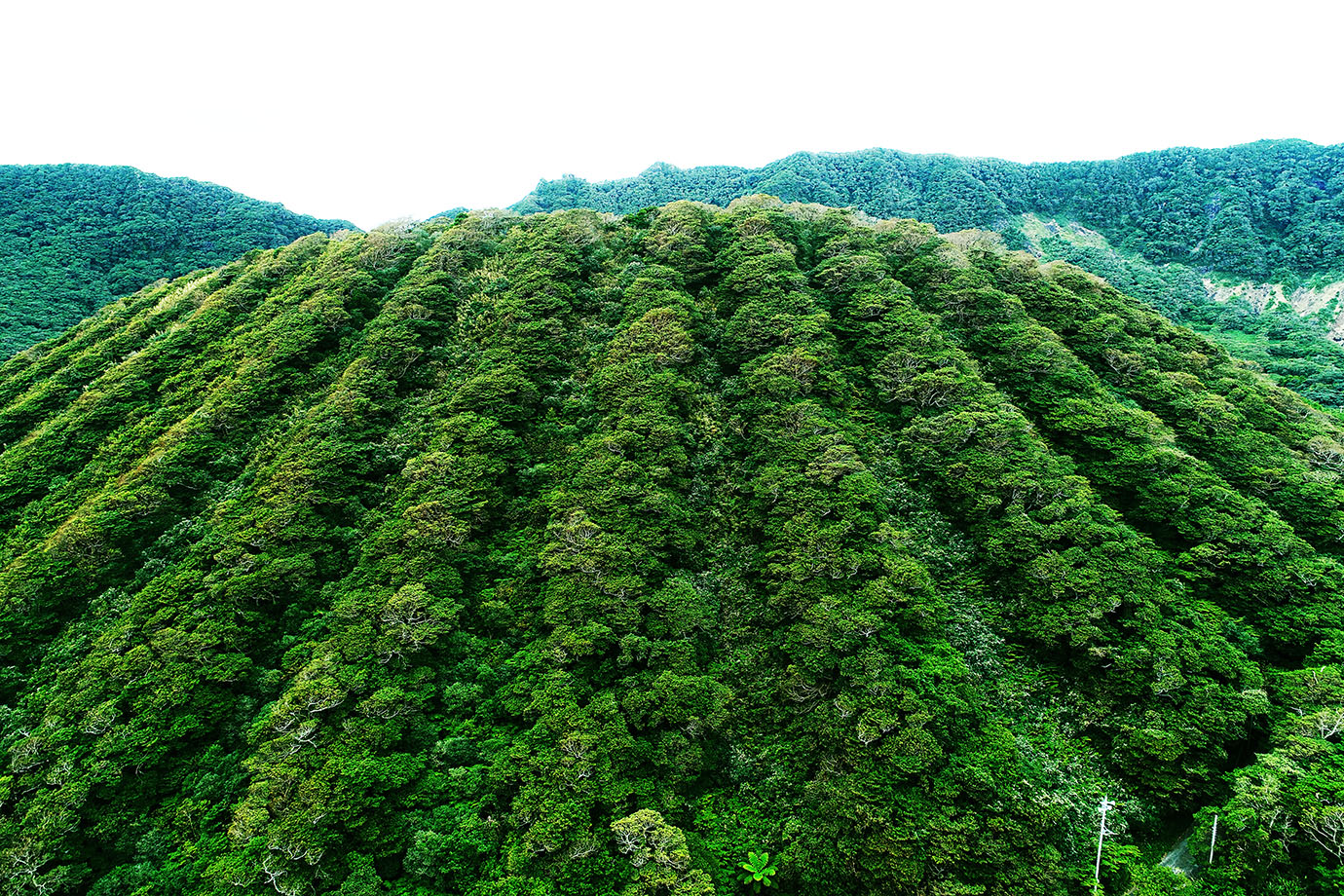 aogashima-tokyo2