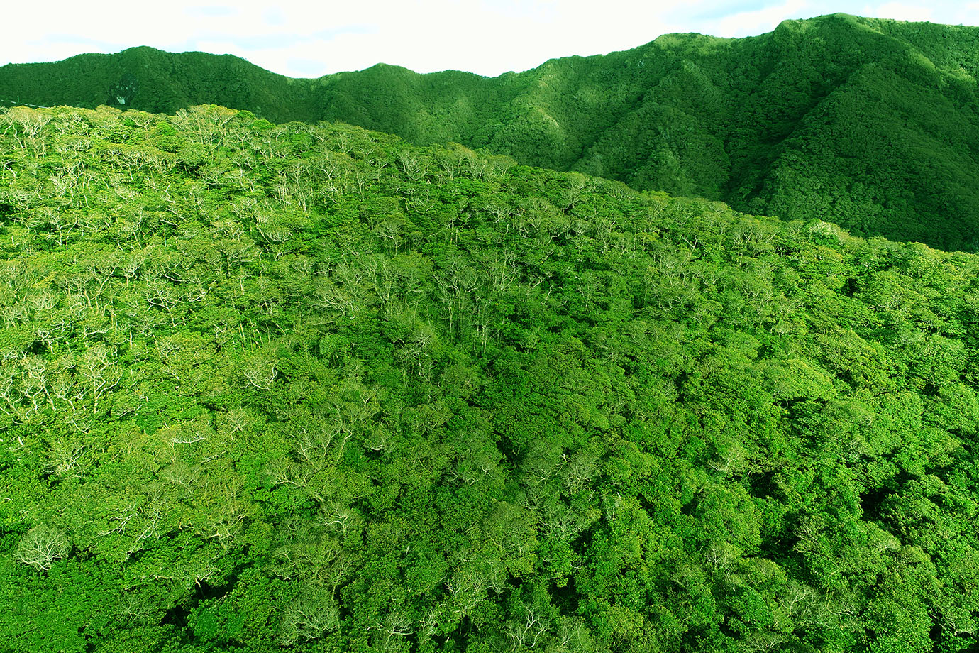 aogashima-tokyo6