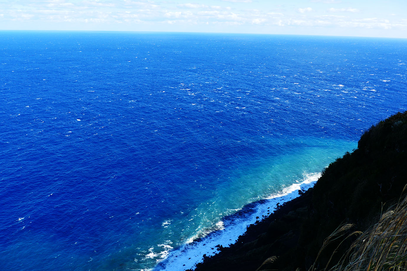 aogashima-tsuri24