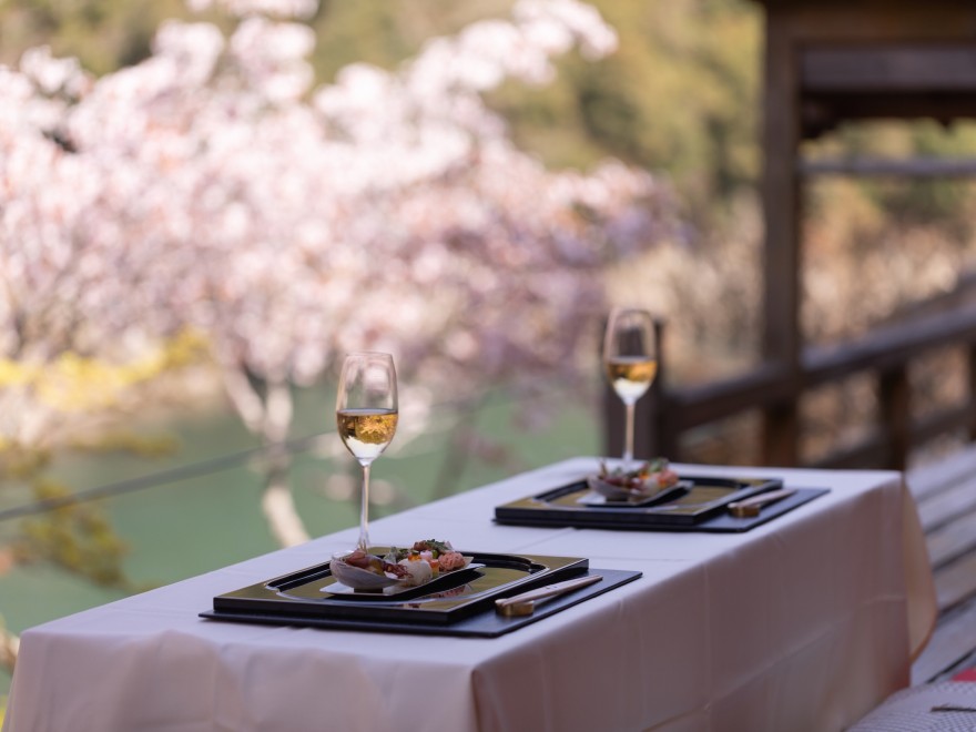 【贅沢】ライトアップされたヤマザクラにうっとり / 星のや京都が1日1組限定の「夜桜ディナー」を提供