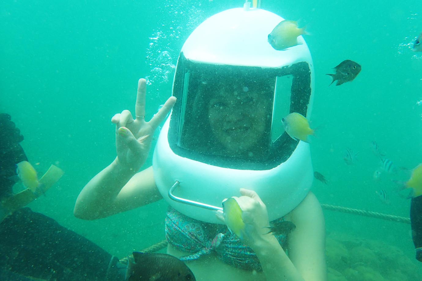 【水中絶景】マレーシア・ボルネオ島コタキナバルの美しき海に潜ってみよう / 気軽に潜水！