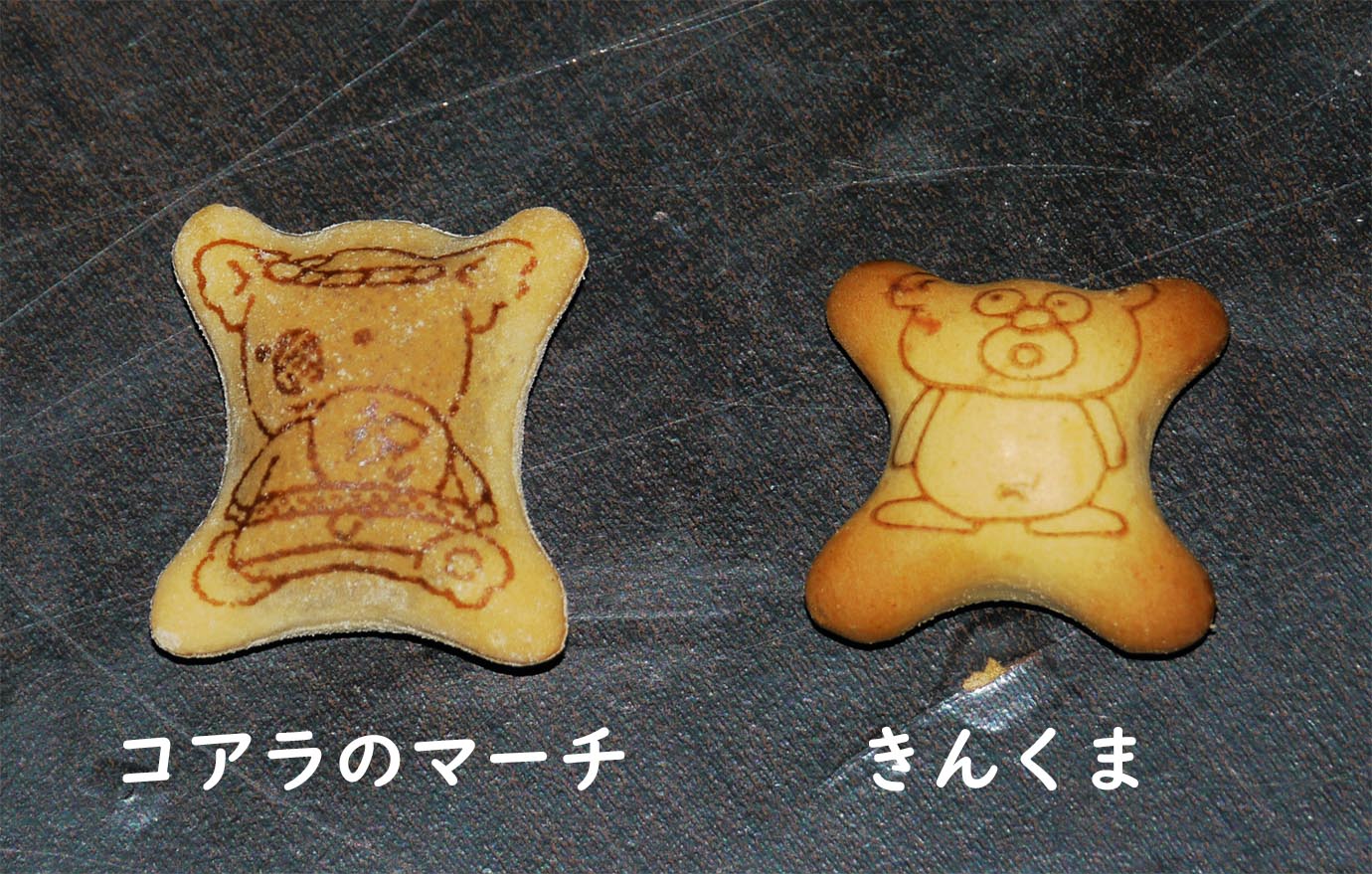 golden-bear-kinkuma5