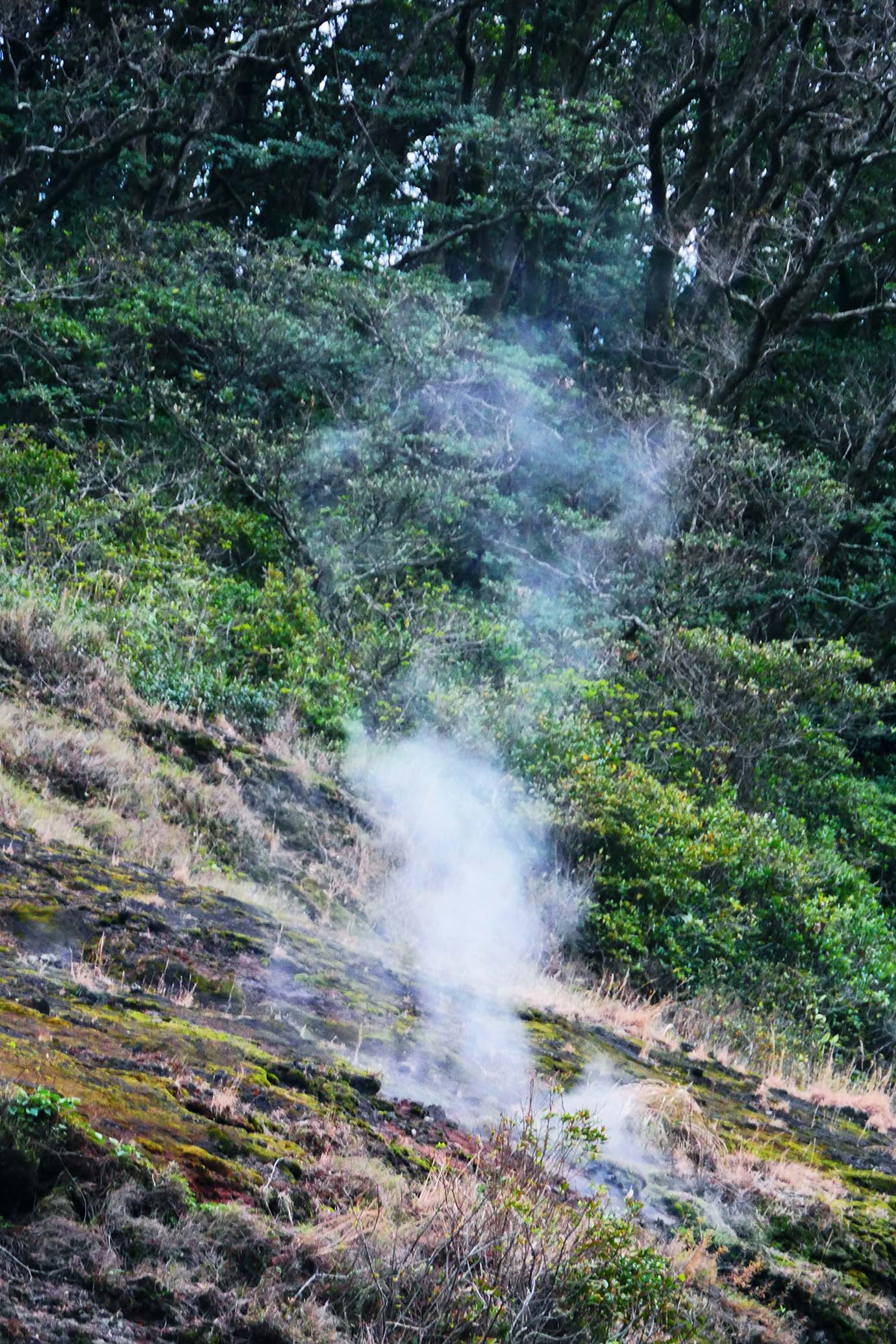 aogashima-shio3