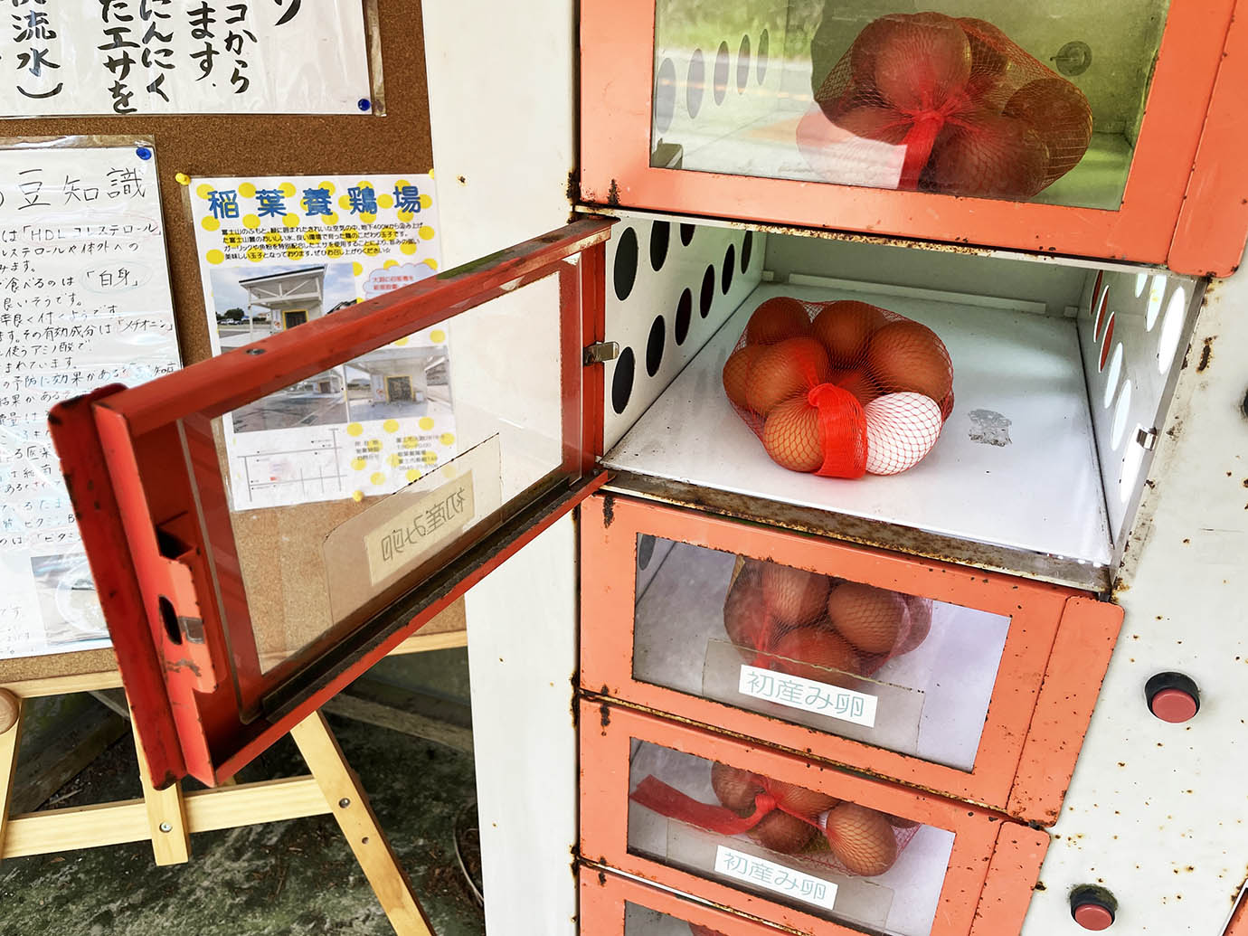 【激レアグルメ】富士山の伏流水で育った鶏の初産卵を買いに行こう / 運が良ければ二黄卵も入手可能